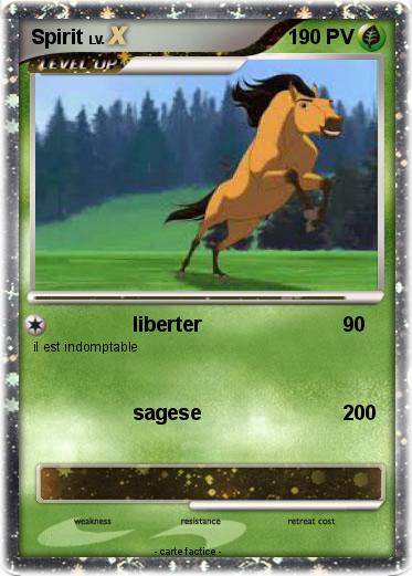 Pokemon Spirit