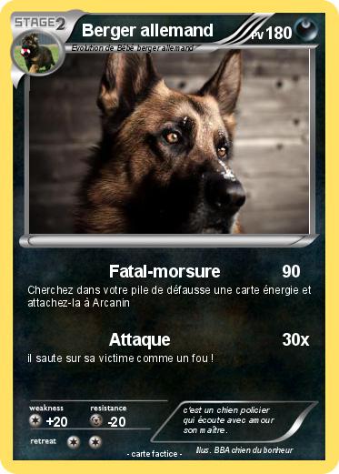 Pokemon Berger allemand