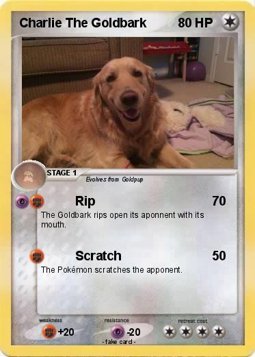 Pokemon Charlie The Goldbark