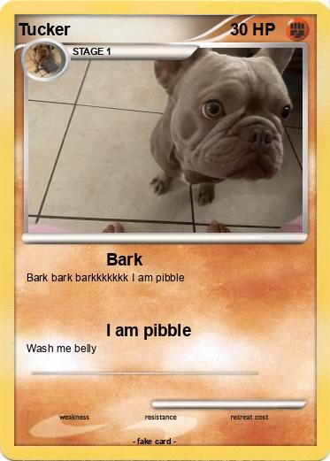 Pokemon Tucker
