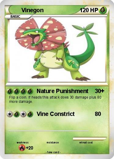 Pokemon Vinegon