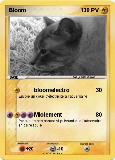 Pokemon Bloom