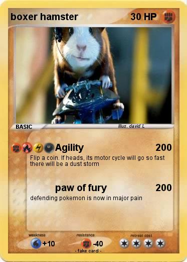 Pokemon boxer hamster