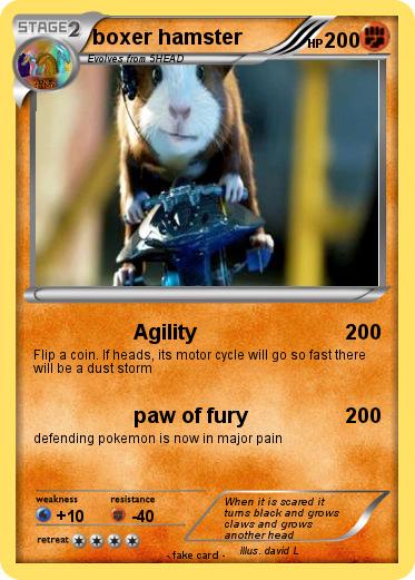 Pokemon boxer hamster