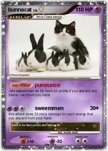 Pokemon bunnacat