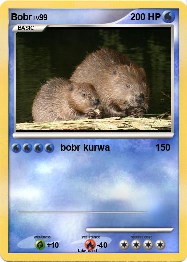Pokemon Bobr