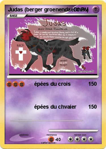 Pokemon Judas (berger groenendael mix )