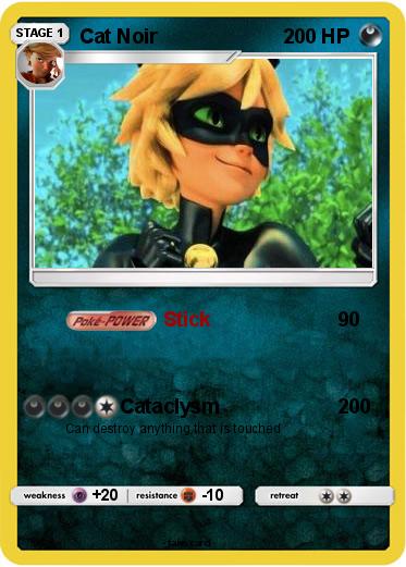 Pokemon Cat Noir