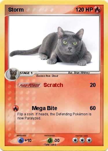 Pokemon Storm