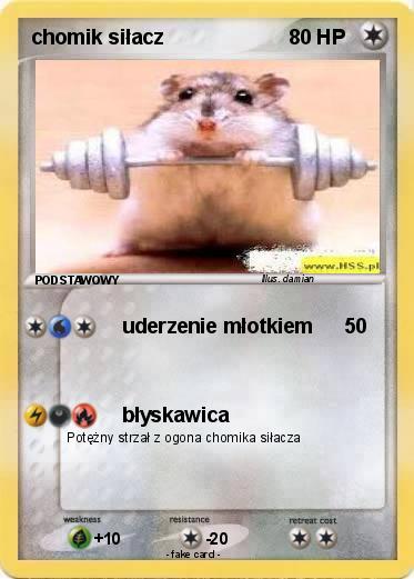 Pokemon chomik siłacz