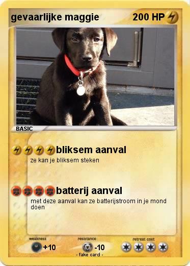 Pokemon gevaarlijke maggie