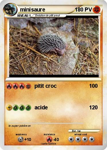 Pokemon minisaure
