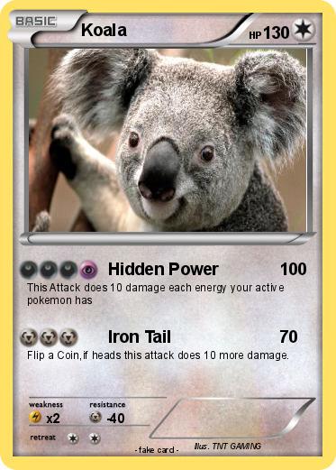 Pokemon Koala