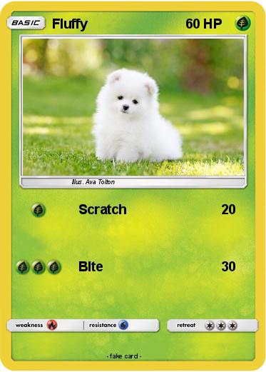 Pokemon Fluffy
