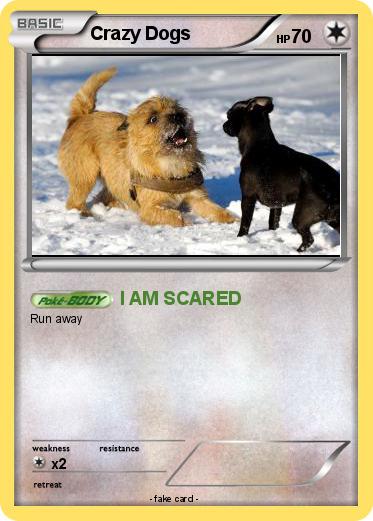 Pokemon Crazy Dogs