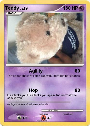 Pokemon Teddy
