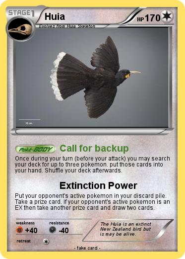 Pokemon Huia