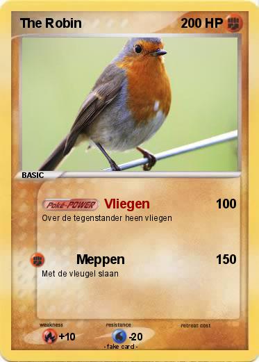 Pokemon The Robin