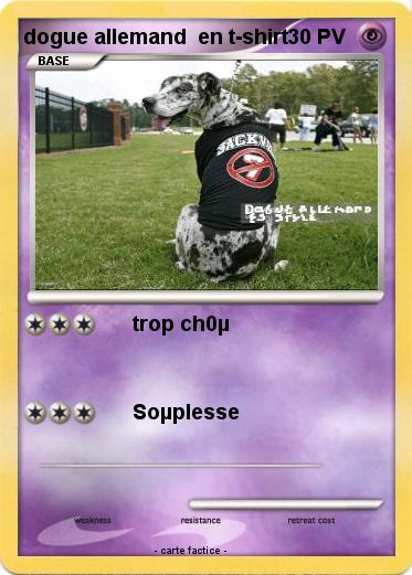 Pokemon dogue allemand  en t-shirt