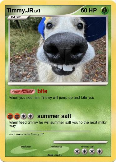 Pokemon Timmy.JR