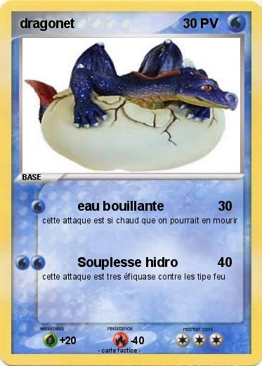 Pokemon dragonet