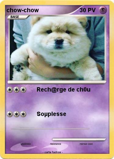 Pokemon chow-chow