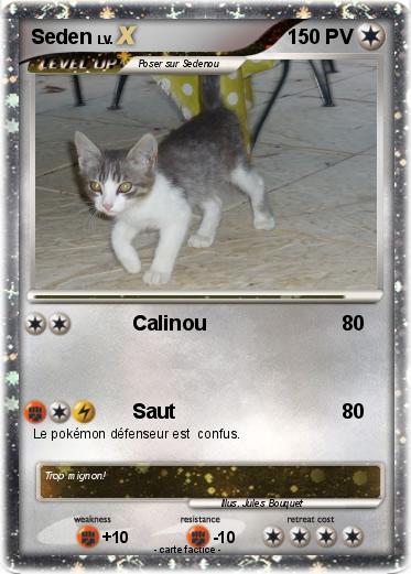 Pokemon Seden