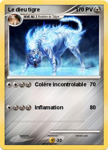 Pokemon Le dieu tigre