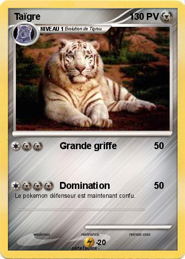 Pokemon Taïgre