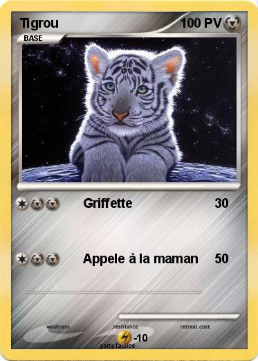 Pokemon Tigrou