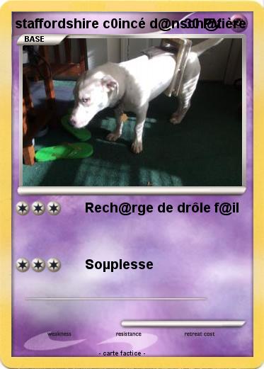 Pokemon staffordshire c0incé d@nsch@tière