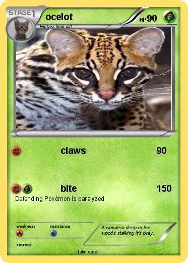 Pokemon ocelot