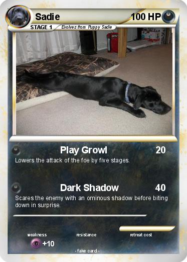 Pokemon Sadie
