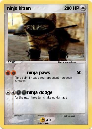 Pokemon ninja kitten