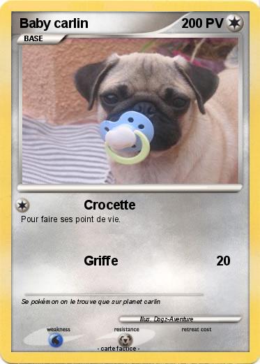 Pokemon Baby carlin