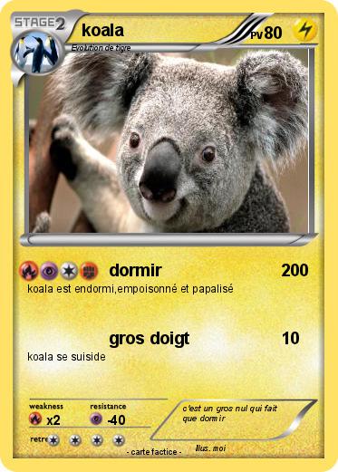 Pokemon koala