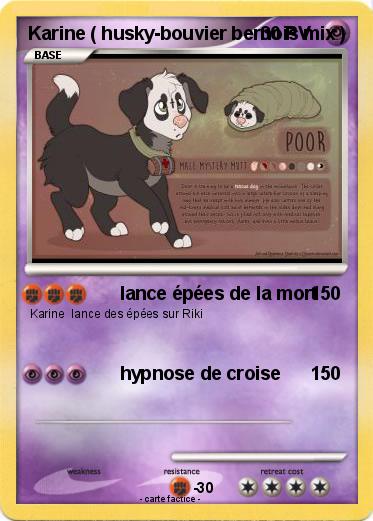 Pokemon Karine ( husky-bouvier bernois mix )