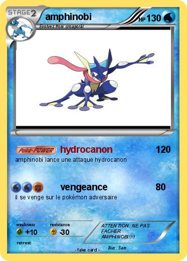 Pokemon amphinobi