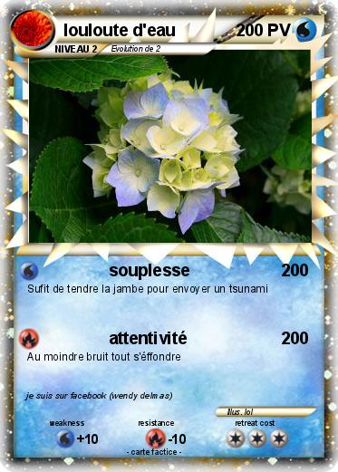 Pokemon louloute d'eau