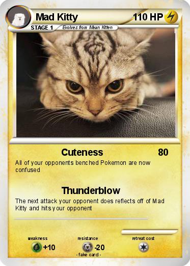 Pokemon Mad Kitty