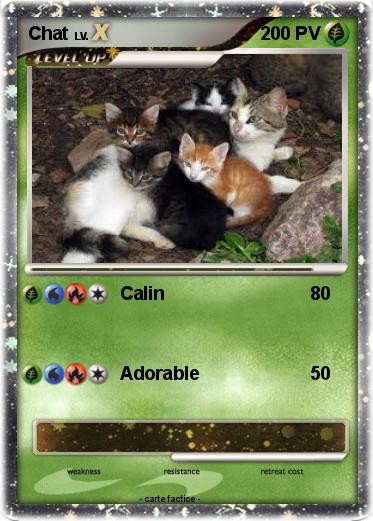 Pokemon Chat