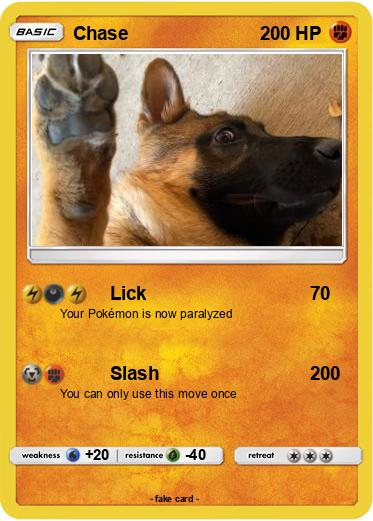 Pokemon Chase
