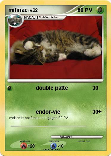 Pokemon mifinac