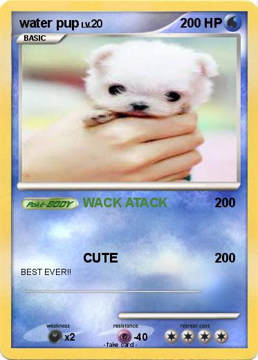 Pokemon water pup