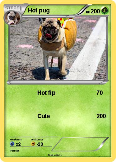Pokemon Hot pug