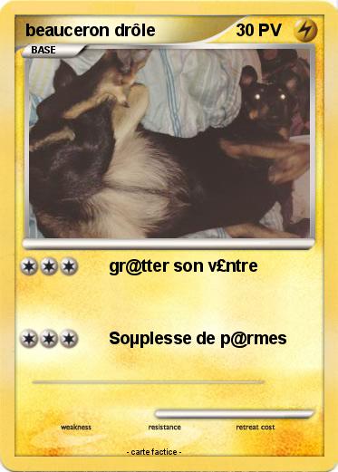 Pokemon beauceron drôle