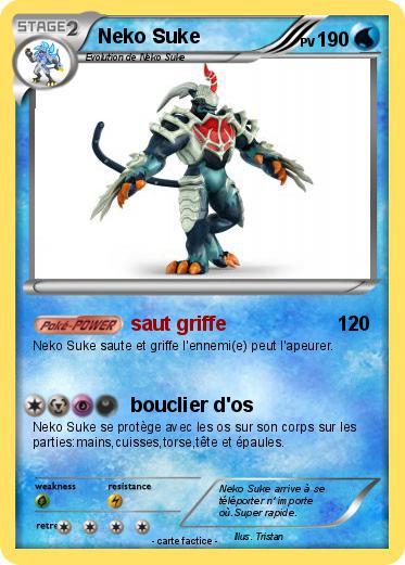 Pokemon Neko Suke