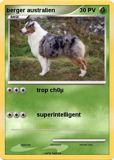 Pokemon berger australien