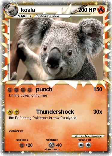 Pokemon koala