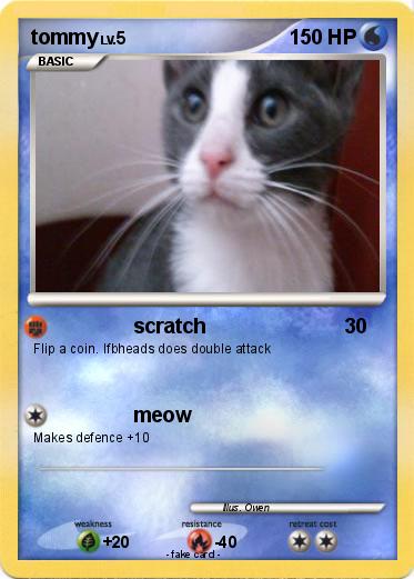 Pokemon tommy
